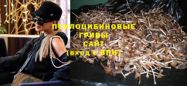 прущие грибы Горняк