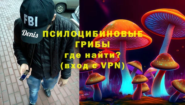 ALPHA PVP Горнозаводск