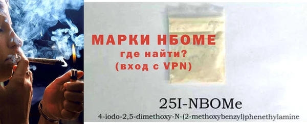 прущие грибы Горняк