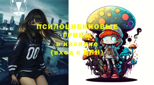 ПСИЛОЦИБИНОВЫЕ ГРИБЫ Братск