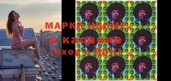 прущие грибы Горняк
